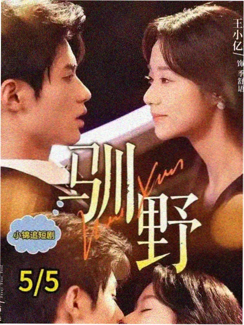 书店内关于电影史的分类书架